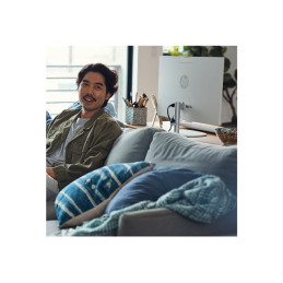 Tout-en-un N-series N300 - jusqu'à 3.8 GHz - RAM 8 Go - SSD 512 Go - NVMe - UHD Graphics - Gigabit ... (9Y113EAABF)_19